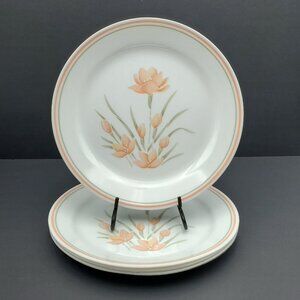 Corelle Peach Floral Dinner Plates Corning Peach Flowers Rimmed Dinner Plates